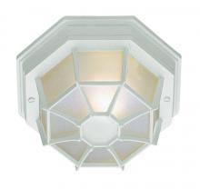  40582 WH - Benkert 1-Light, Weblike Design, Enclosed Flush Mount Ceiling Lantern Light